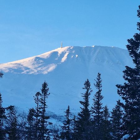 Ny Leilighet Med Flott Utsikt Til Gaustatoppen Рюкан Екстериор снимка