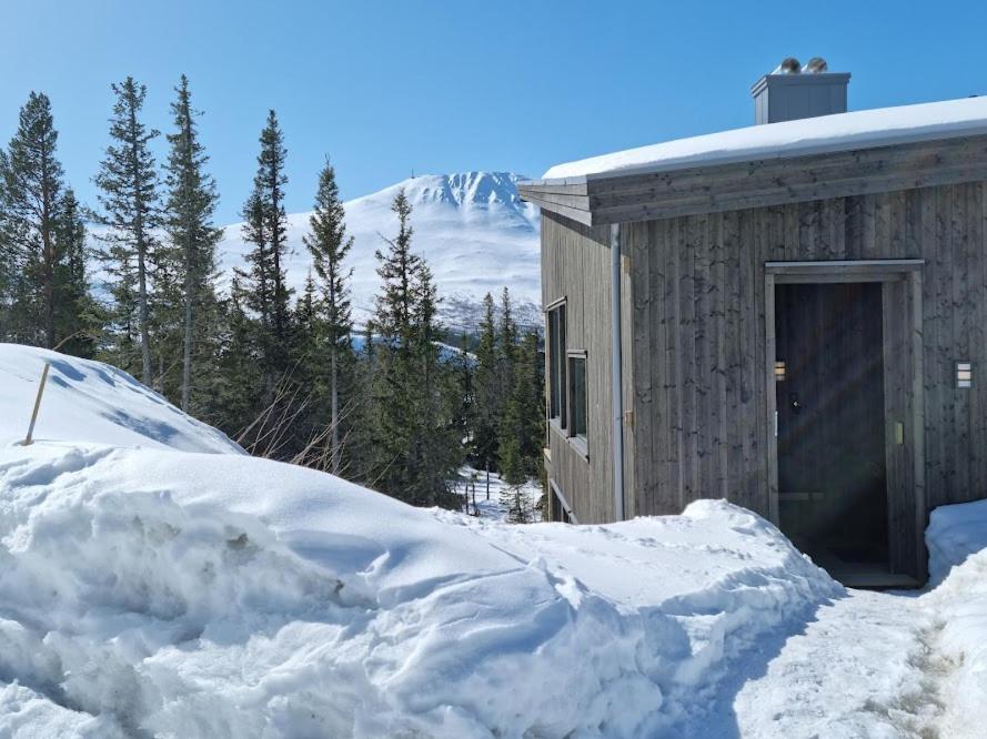 Ny Leilighet Med Flott Utsikt Til Gaustatoppen Рюкан Екстериор снимка