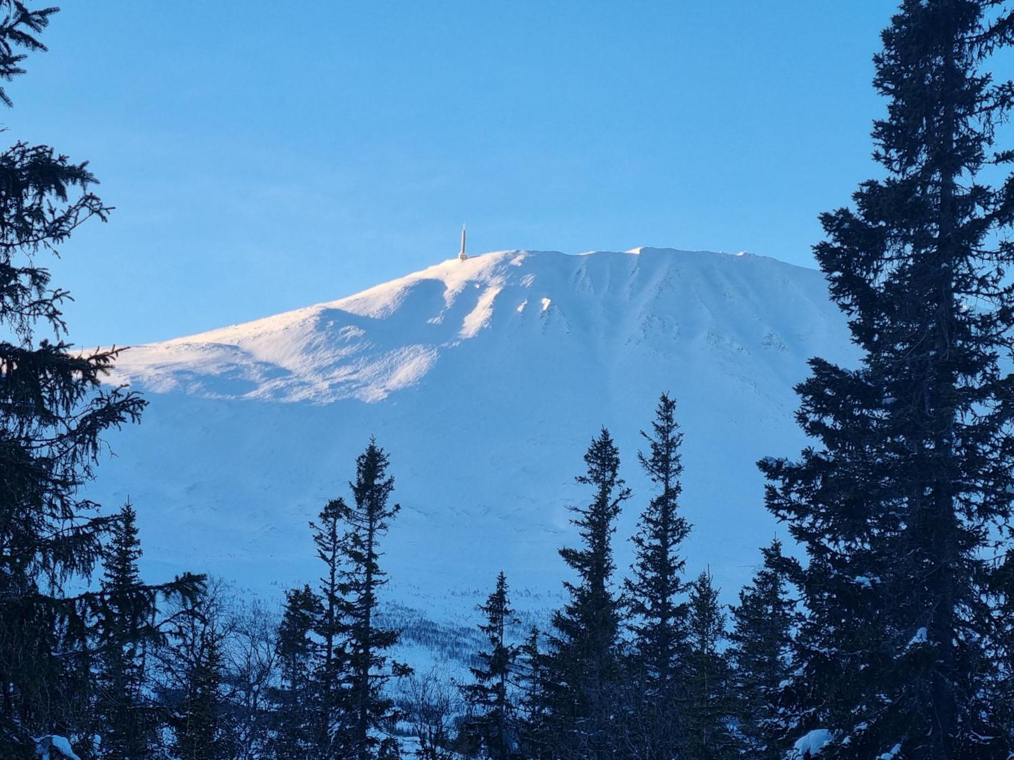 Ny Leilighet Med Flott Utsikt Til Gaustatoppen Рюкан Екстериор снимка