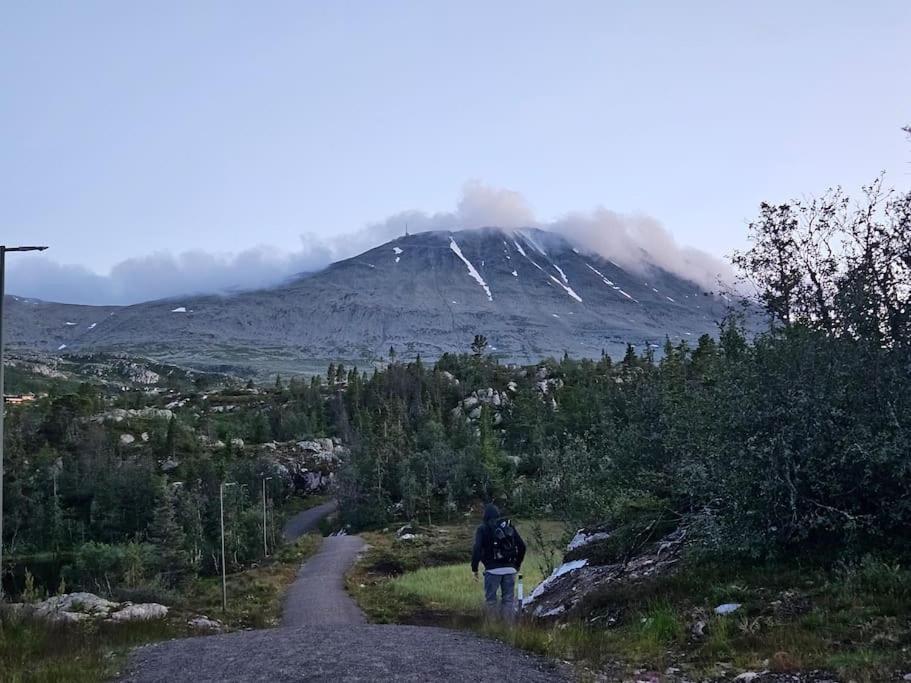 Ny Leilighet Med Flott Utsikt Til Gaustatoppen Рюкан Екстериор снимка