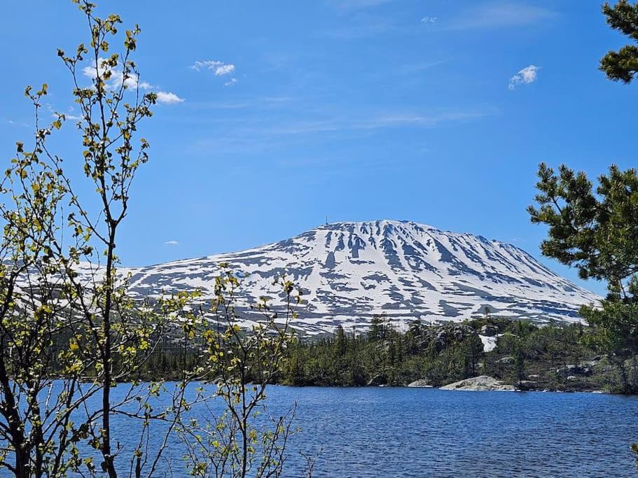 Ny Leilighet Med Flott Utsikt Til Gaustatoppen Рюкан Екстериор снимка