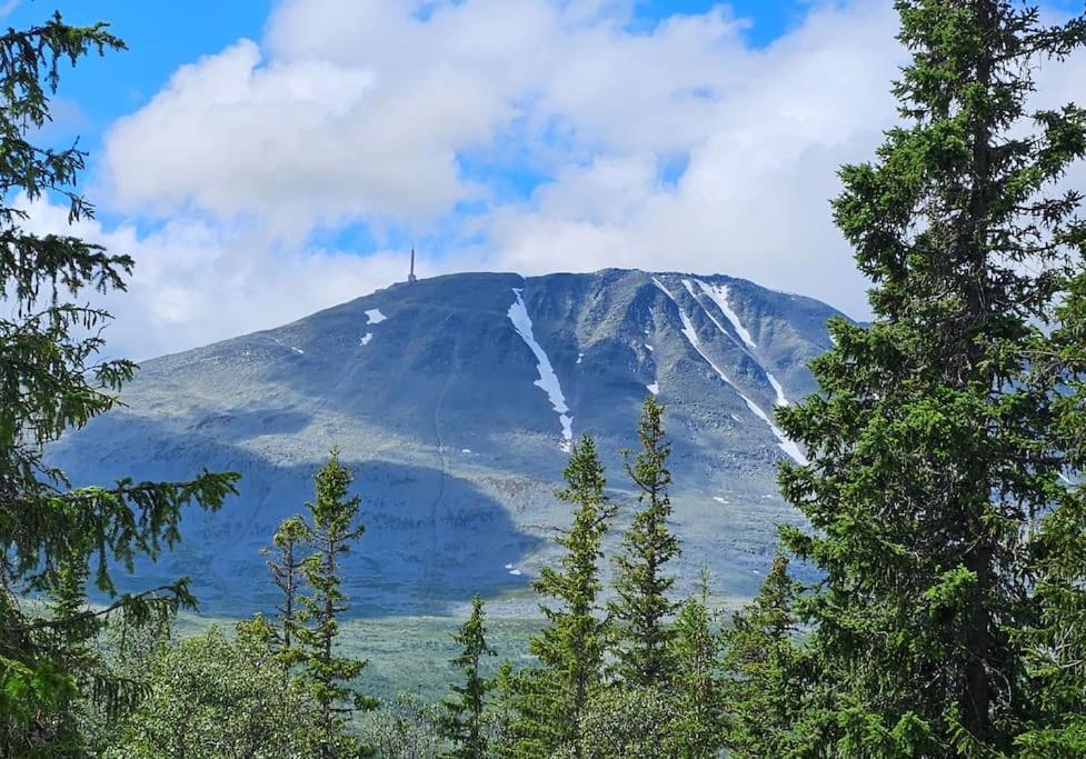 Ny Leilighet Med Flott Utsikt Til Gaustatoppen Рюкан Екстериор снимка