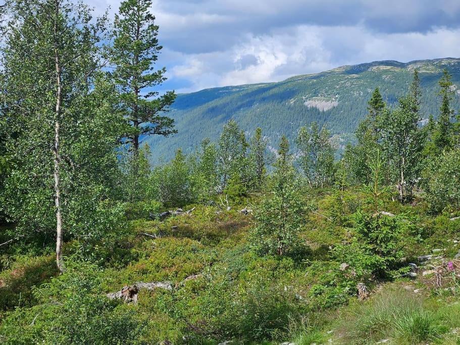 Ny Leilighet Med Flott Utsikt Til Gaustatoppen Рюкан Екстериор снимка