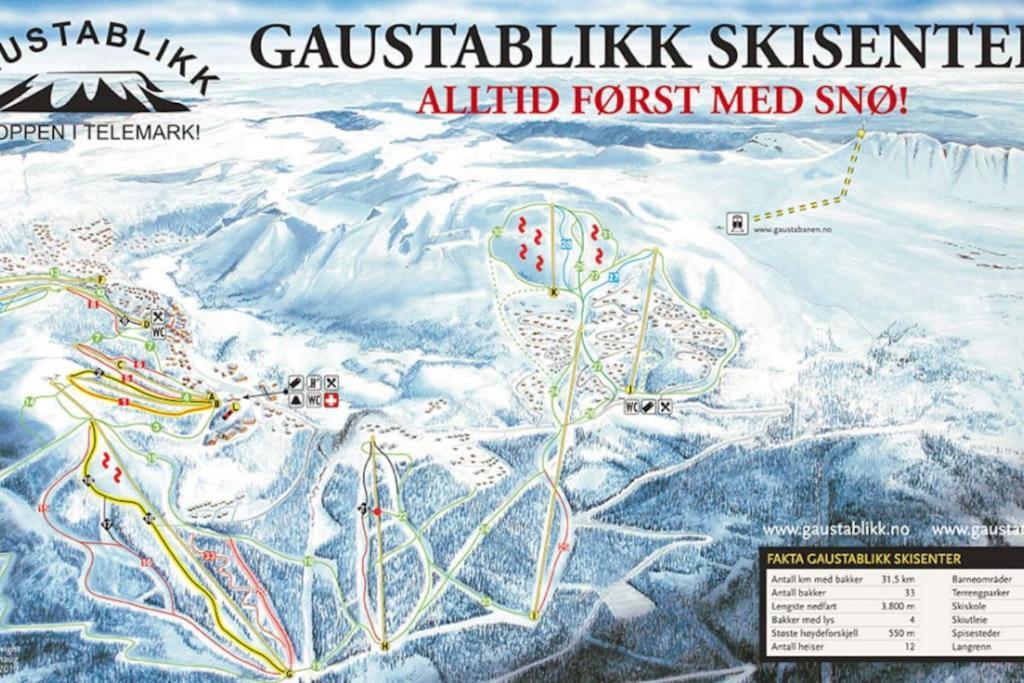 Ny Leilighet Med Flott Utsikt Til Gaustatoppen Рюкан Екстериор снимка
